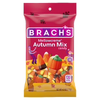 BRACH'S HALLOWEEN  AUTUMN MIX PEG BAG 119G x 18