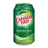 CANADA DRY GINGER ALE 355 ML X12