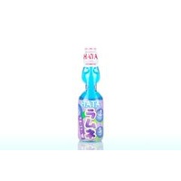 HATA BLUEBERRY 200ML X 30